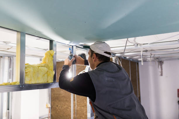 Best Radiant Barrier Insulation  in South Milwaukee, WI